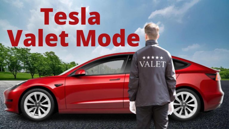 Tesla valet mode