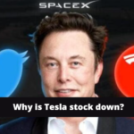 why is tesla stock down