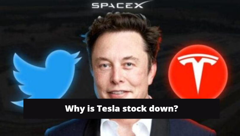 why is tesla stock down