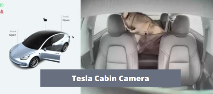 Tesla Cabin Camera