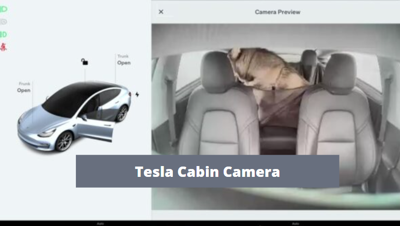 Tesla Cabin Camera